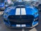 2021 Ford Mustang Shelby GT500