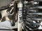 2026 Ford F-350SD Platinum DRW BLACK WIDOW by FOX FACTORY